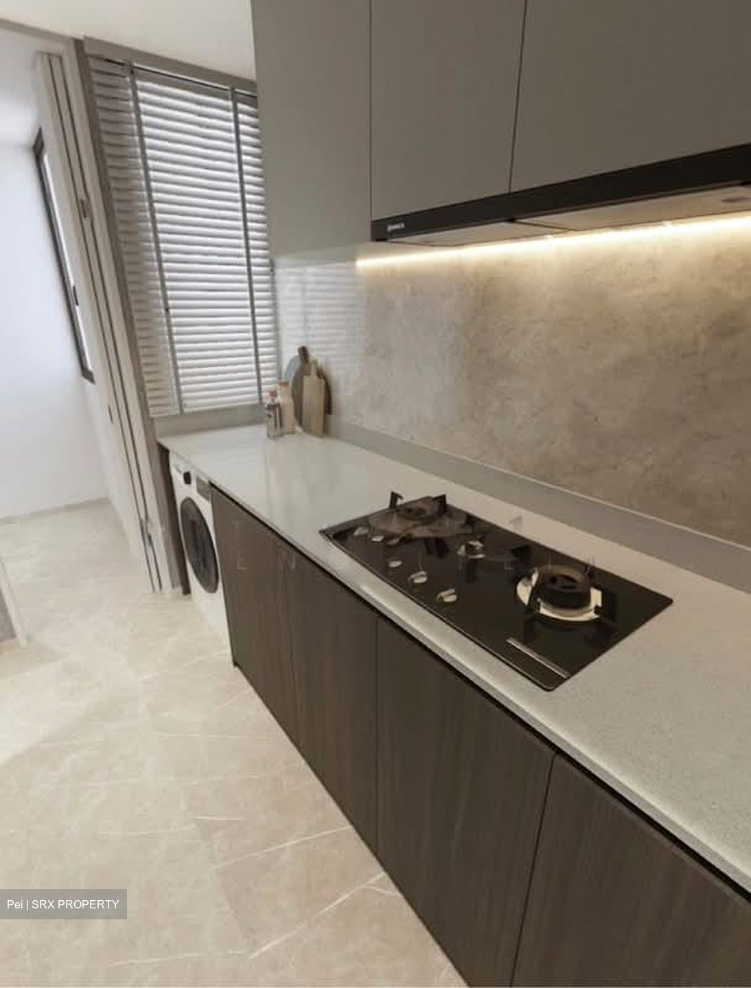 The Myst (D23), Condominium #552263421